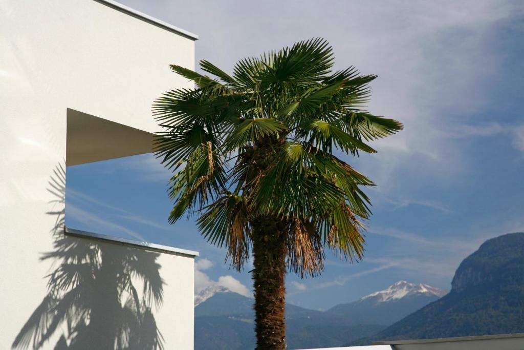 Hotel Residence Pernhof Termeno Exterior foto